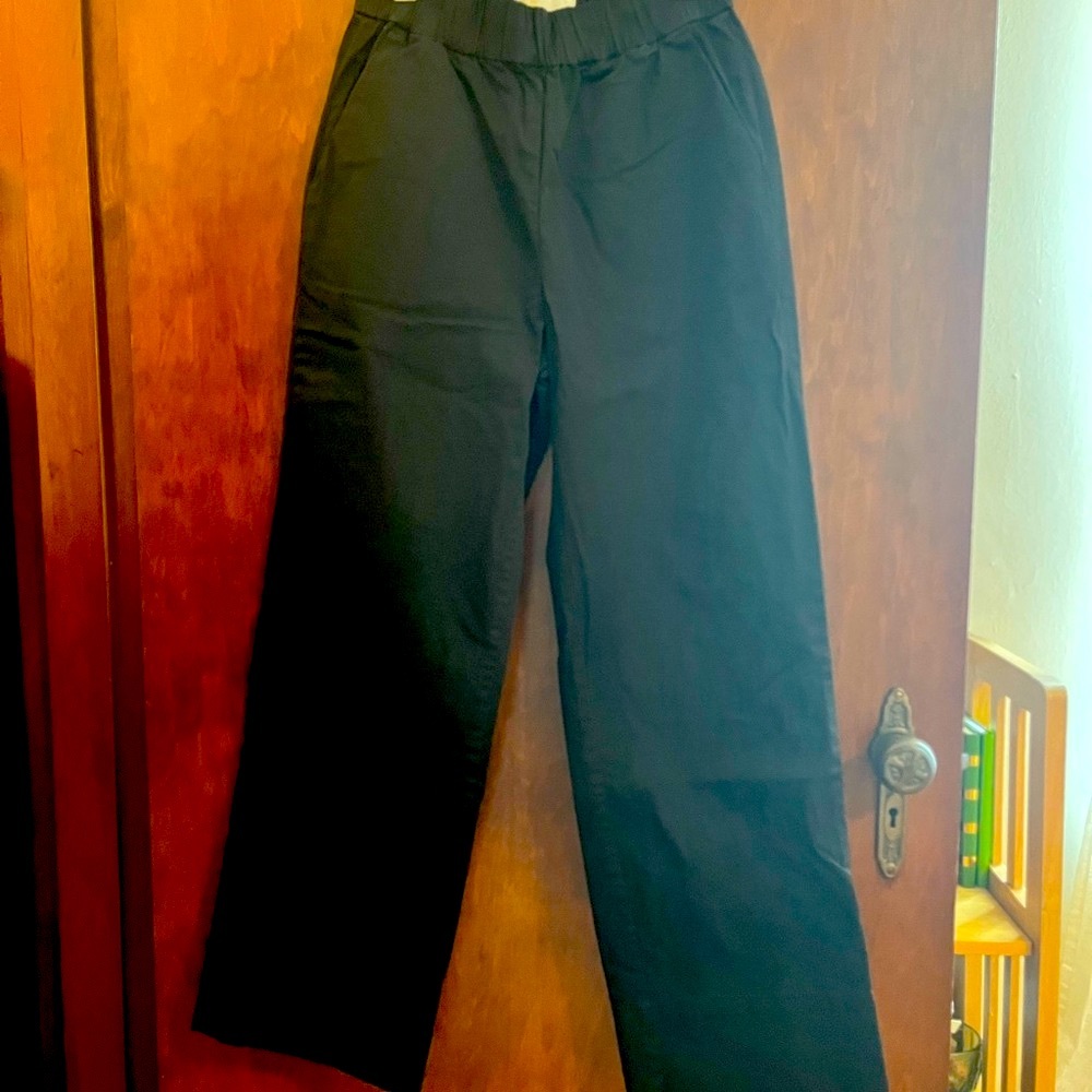 Everlane Black Wide Leg Organic Cotton Pants